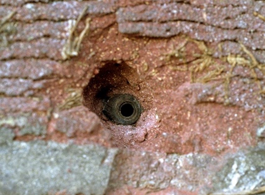 Here on the Zwiepseweg, the British came under fire 