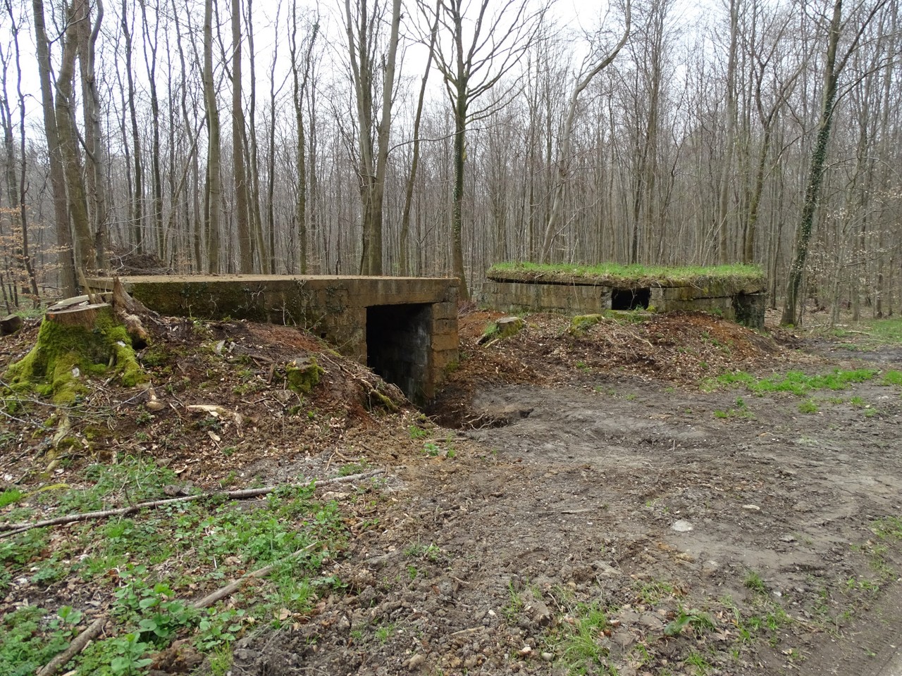 Queue de Lambresson - V1 launch base