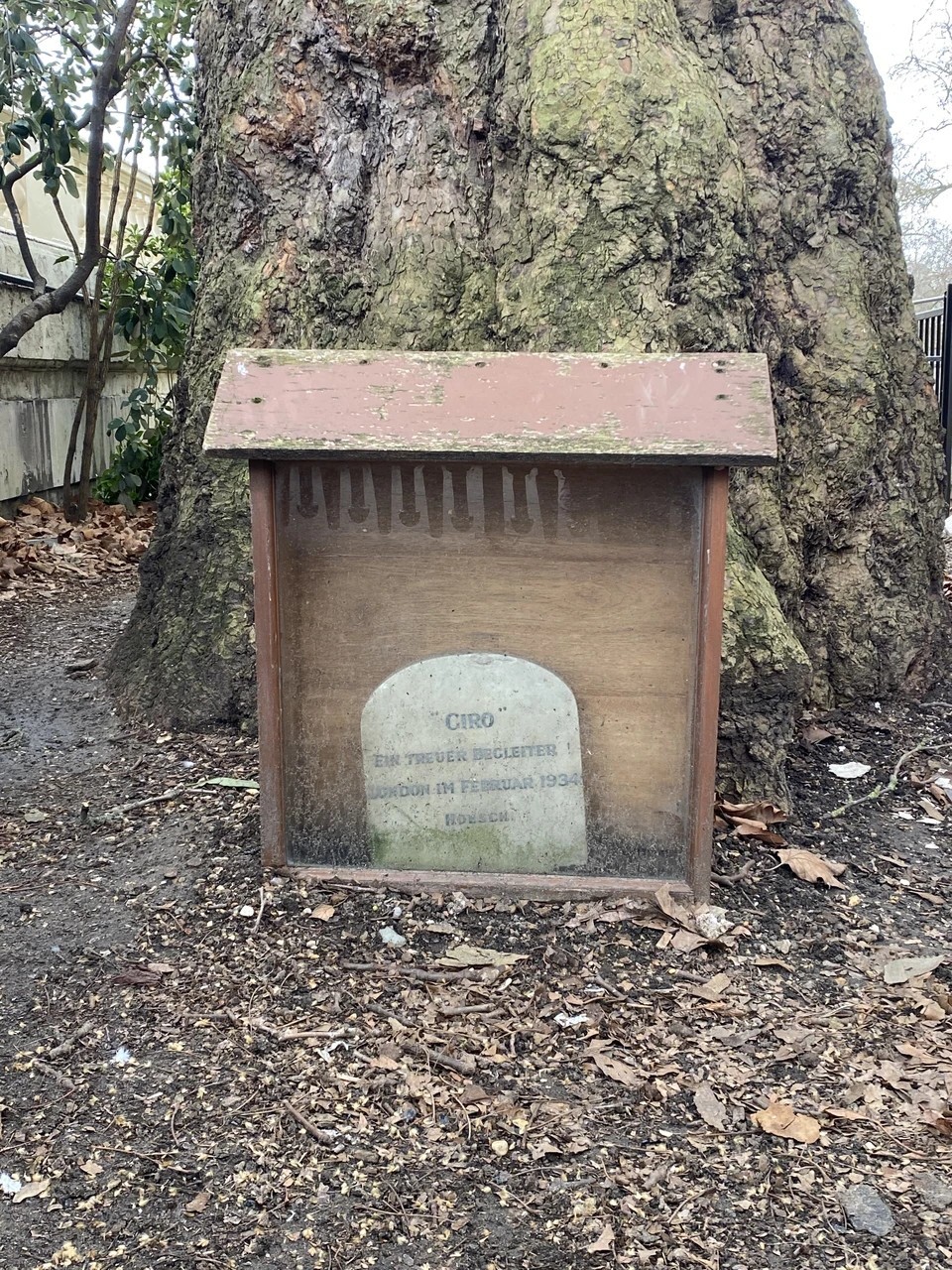 German Foreign Embassy 'Giro Grave'