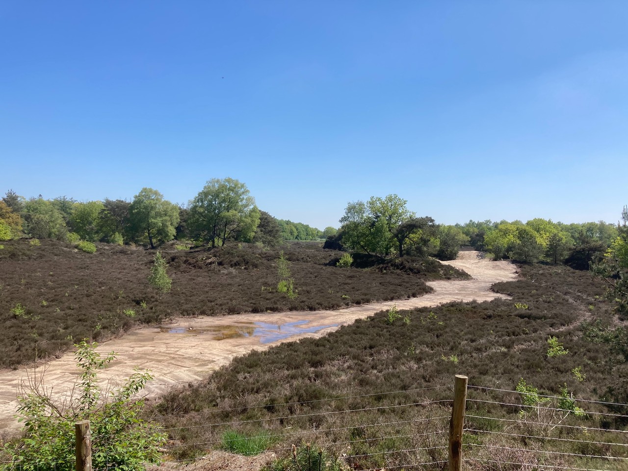 Resistance in the Frisian countryside