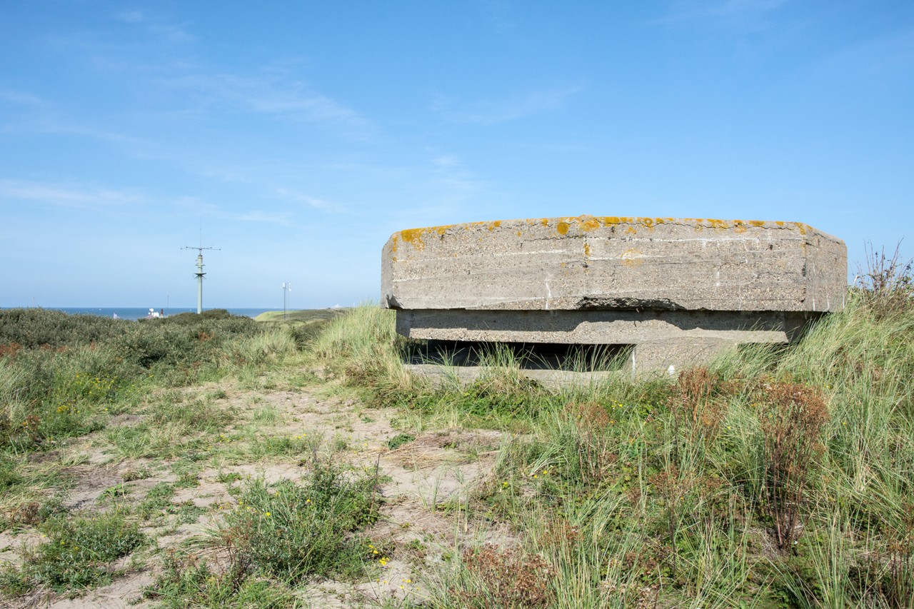 Tragedy at the Wassenaarse Slag