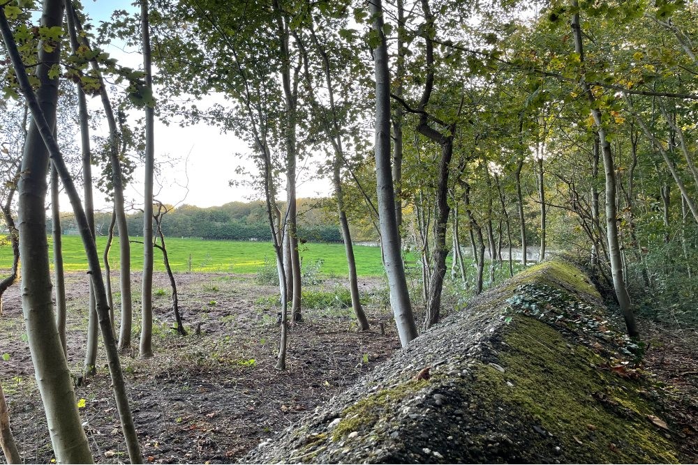 The anti-tank wall at Westdorp, Bergen