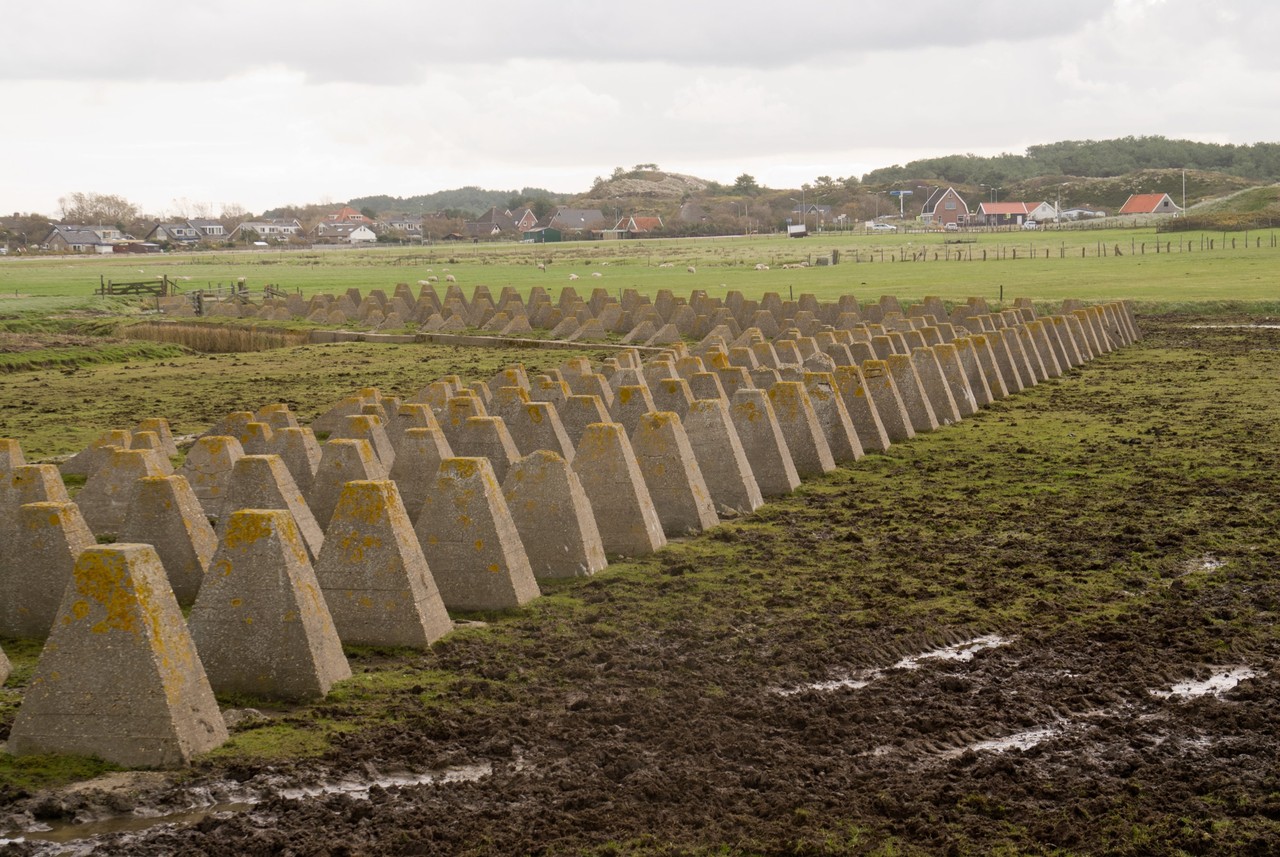 Dragon's teeth Camperduin