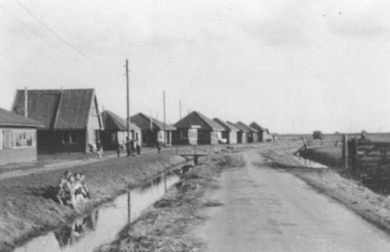 Dutch Hollywood: an emergency village in Callantsoog