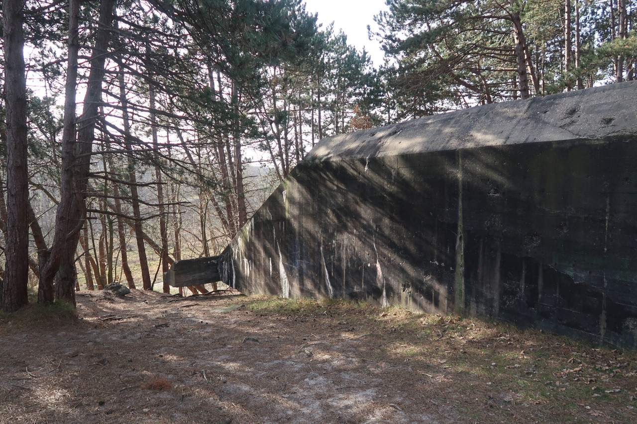 A concrete wall tail in the dune
