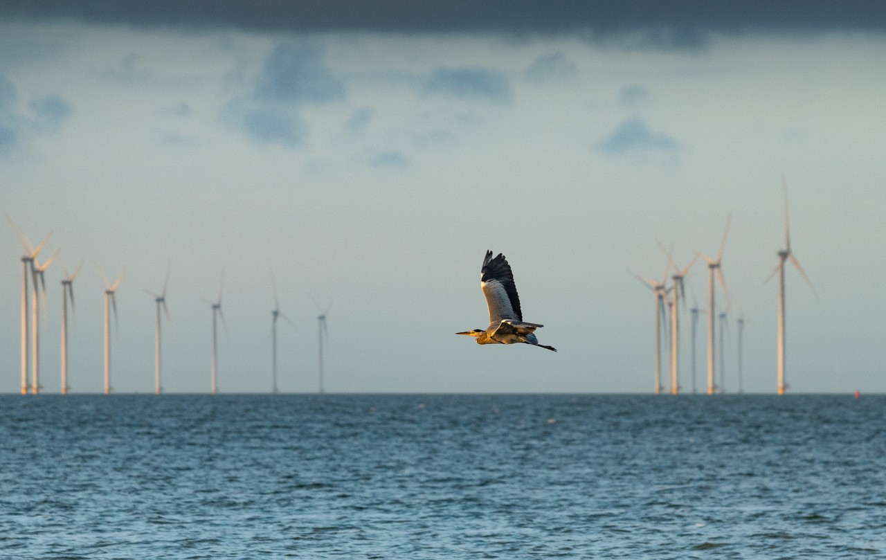 Ontdek het Atlantikwall-erfgoed in Nederland