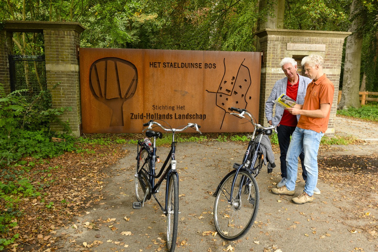 Staelduinse Bos - War history among trees and bunkers