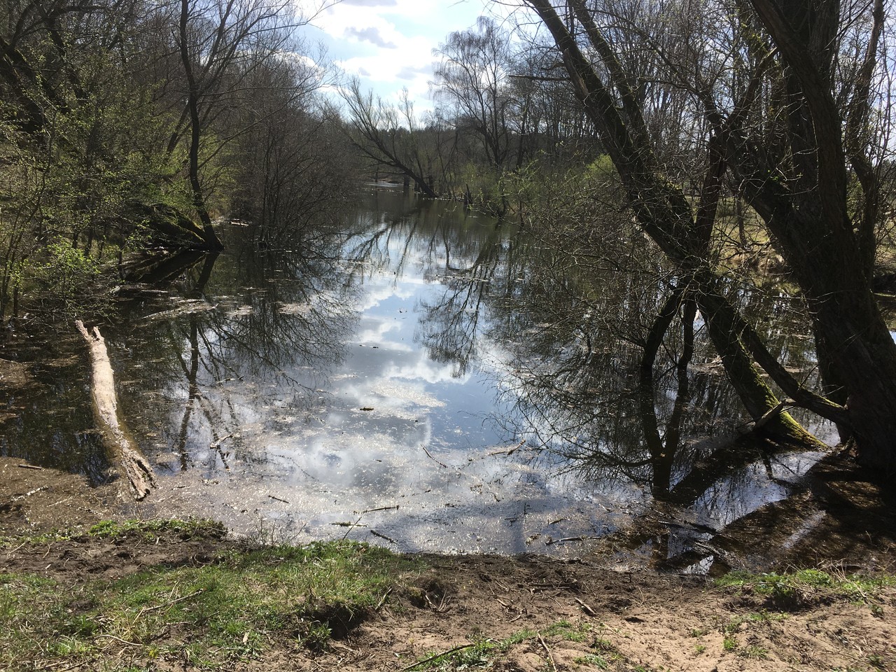 Tank ditch at Midden-Herenduin