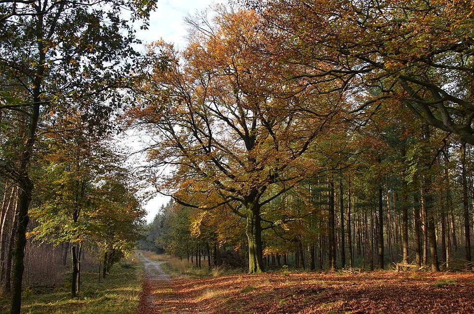 Canadian Trail Gelderland