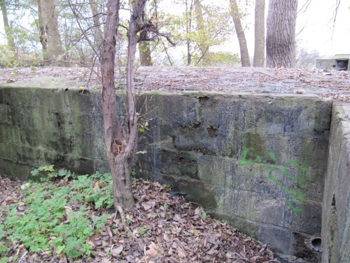 Bunker forest North battery