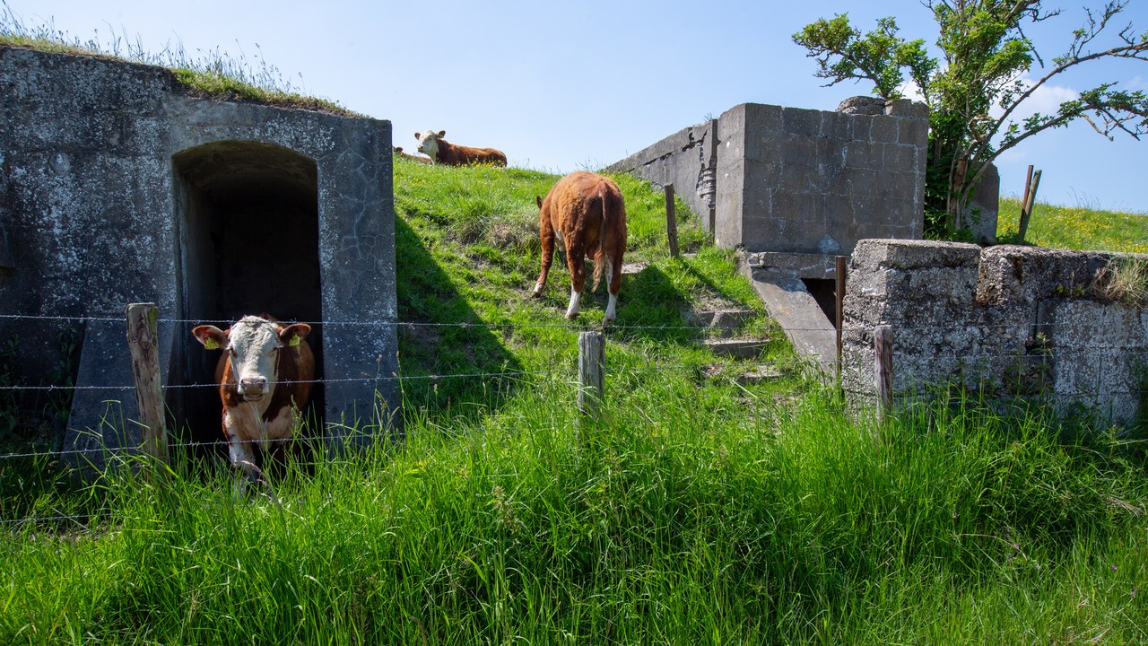 Stützpunkt Scharnhorst