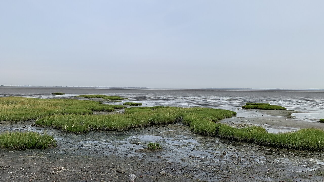 Cycling route: Operation Vitality I