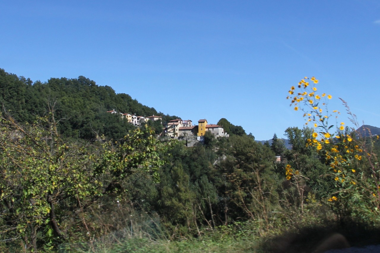 Riola - Grizzana Morandi