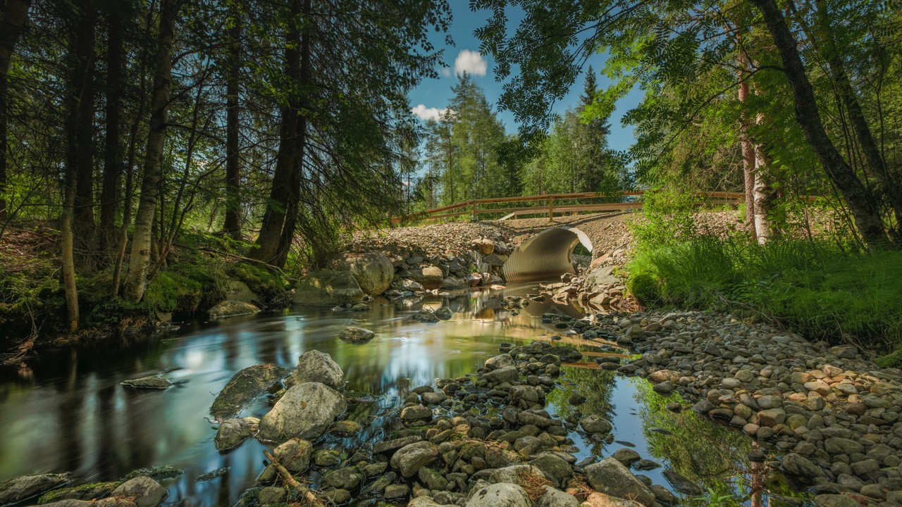 Rivière Suojoki