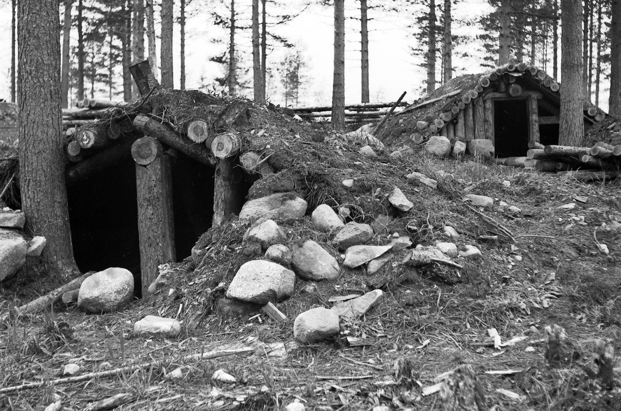 Forêt de Parissavaara
