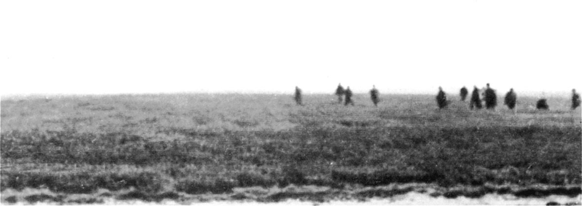 Battle of Ginkelse Heide