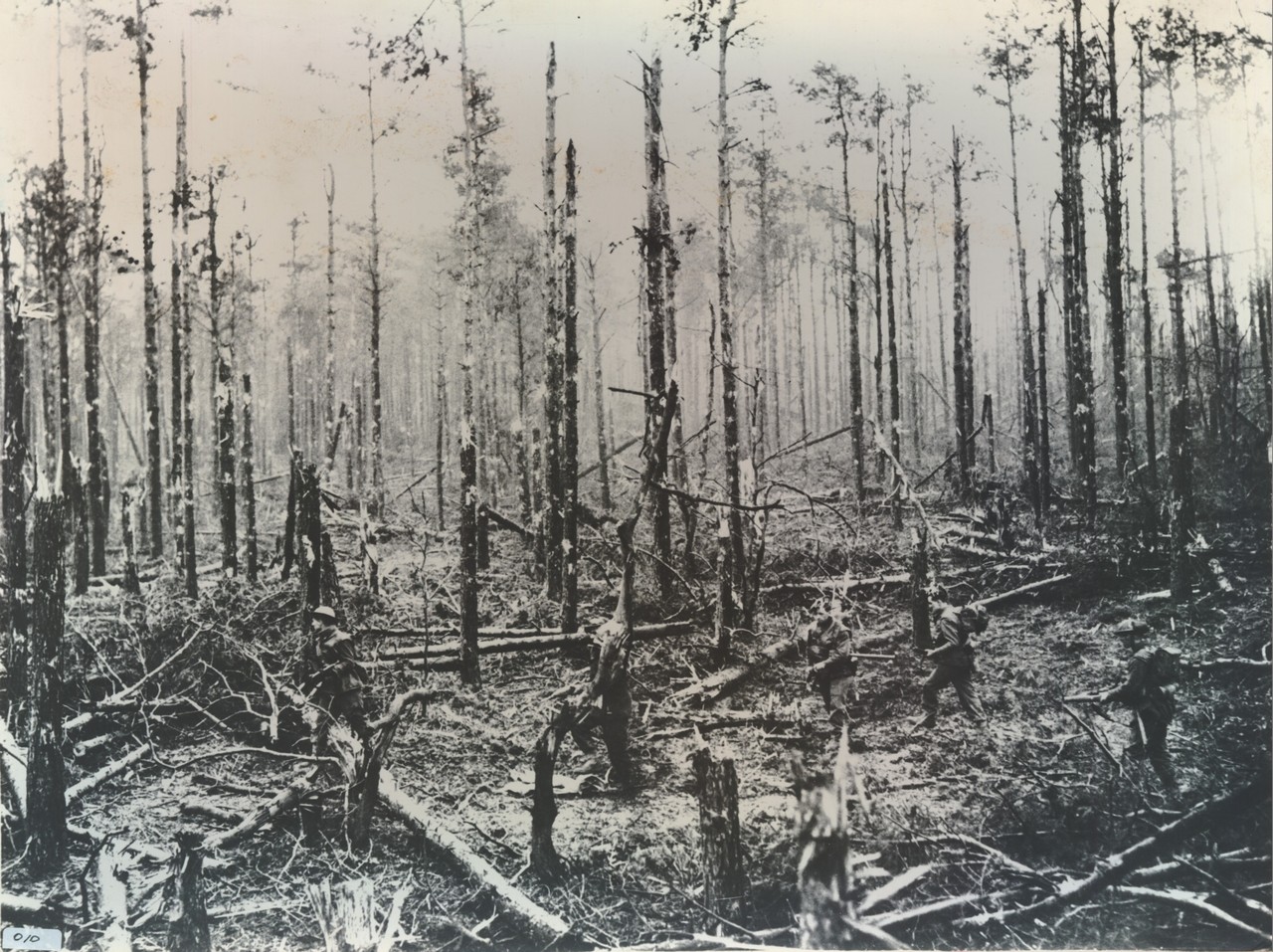 The Rhineland Offensive
