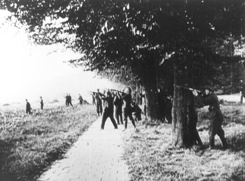 Airborne landings on the Ginkel Heath